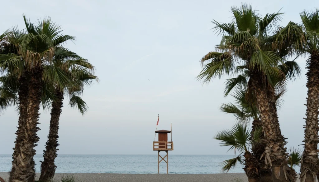 Marassi prices Marassi prices